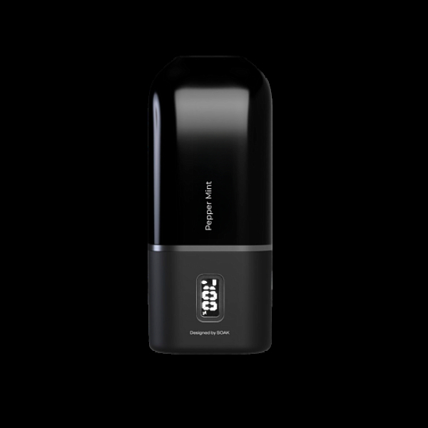 Электронка Soak 13 Pepper Mint Перечная Мята 13000 затяжек в Челябинске